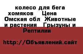  колесо для бега хомяков  › Цена ­ 80 - Омская обл. Животные и растения » Грызуны и Рептилии   